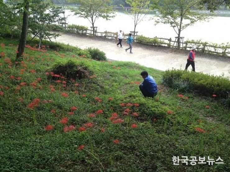 기사 사진