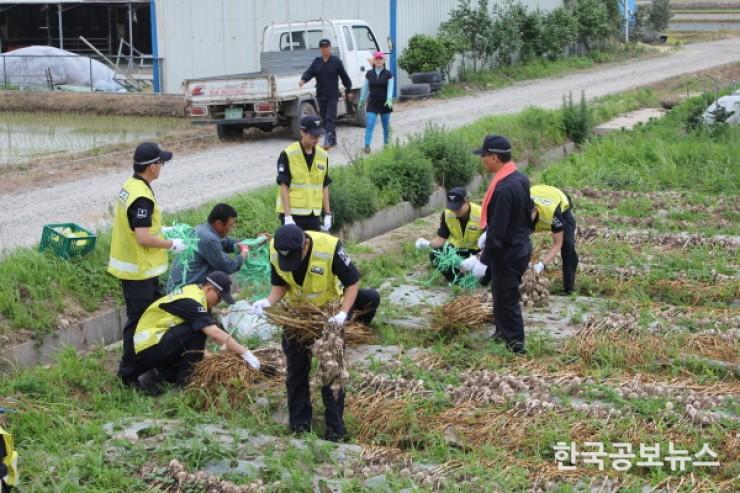 기사 사진