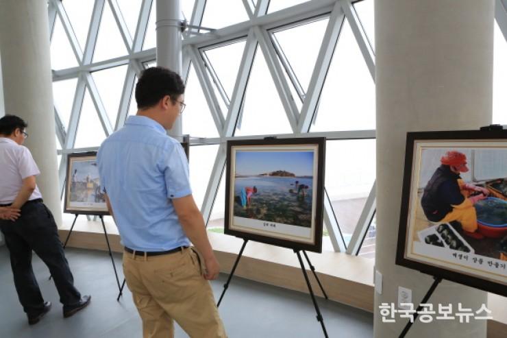기사 사진