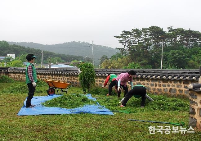 기사 사진