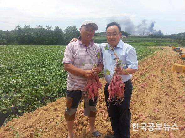 기사 사진
