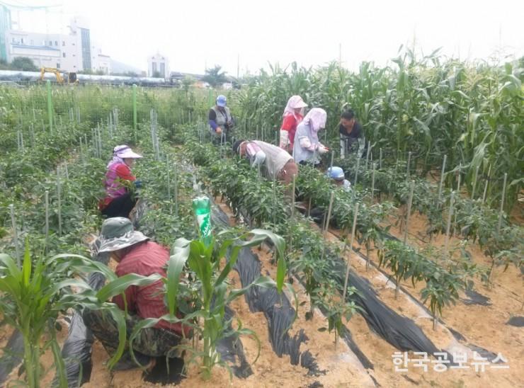 기사 사진