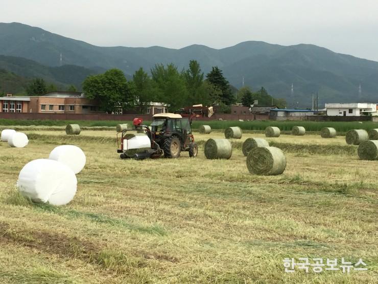 기사 사진