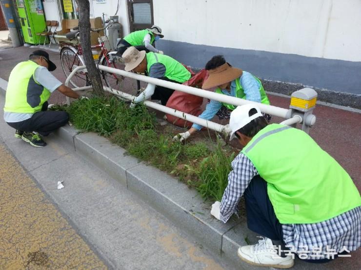 기사 사진