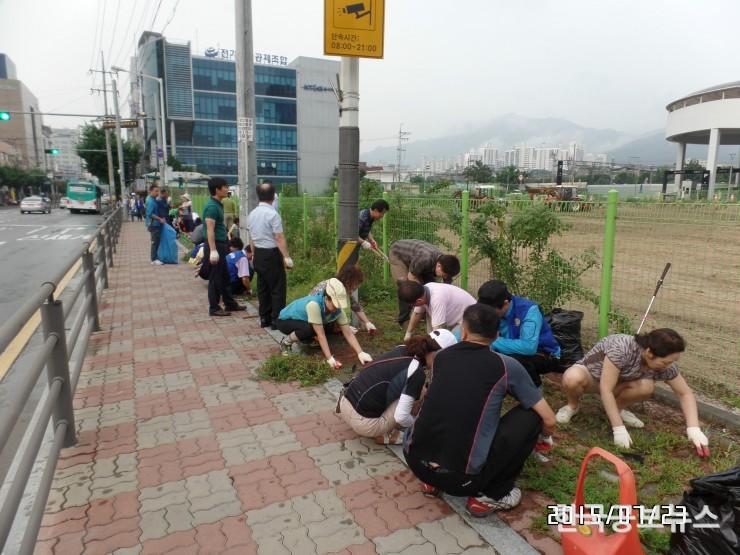 기사 사진