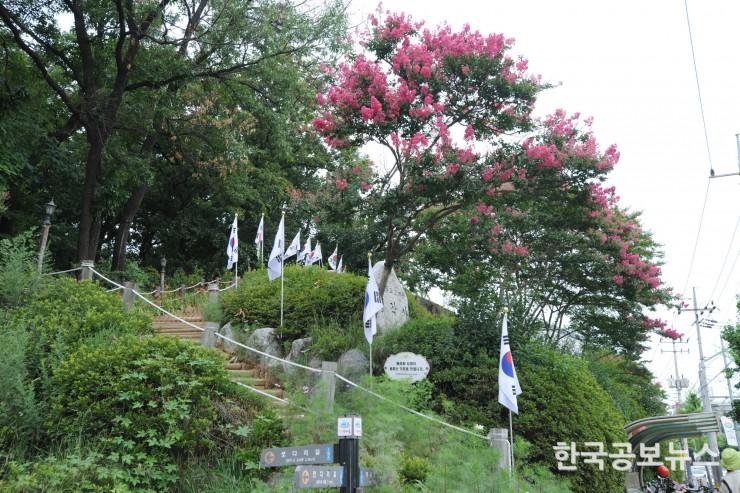 기사 사진