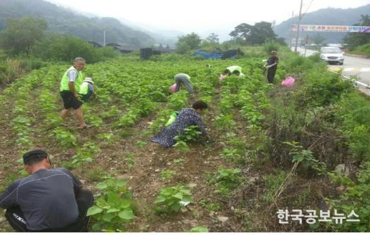 기사 사진