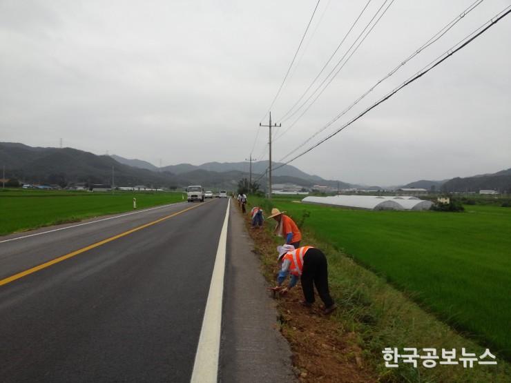 기사 사진
