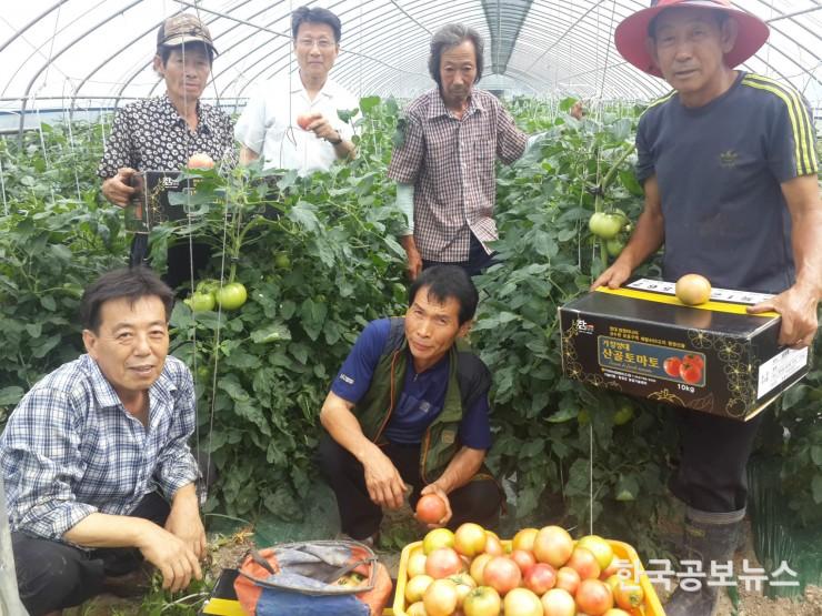 기사 사진