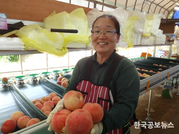 기사 사진