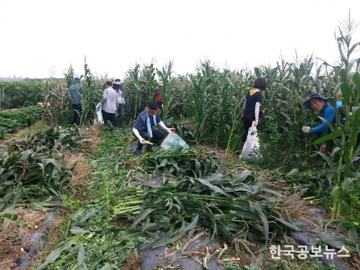 기사 사진