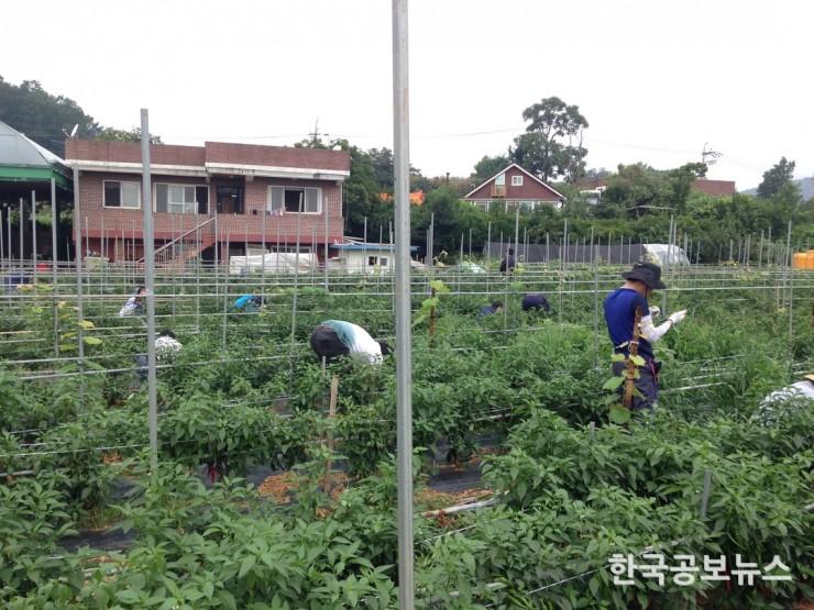 기사 사진