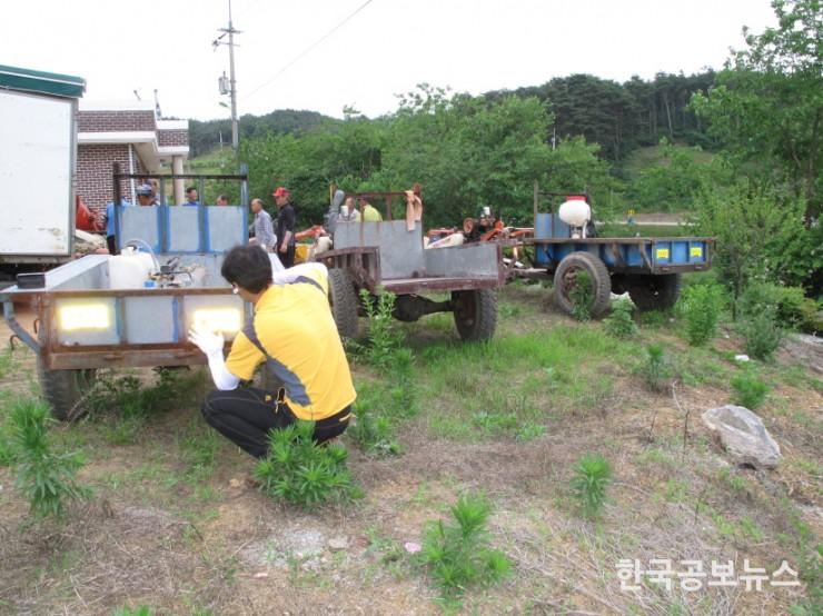 기사 사진