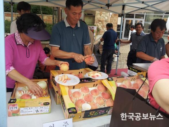기사 사진