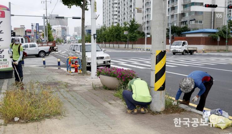 기사 사진