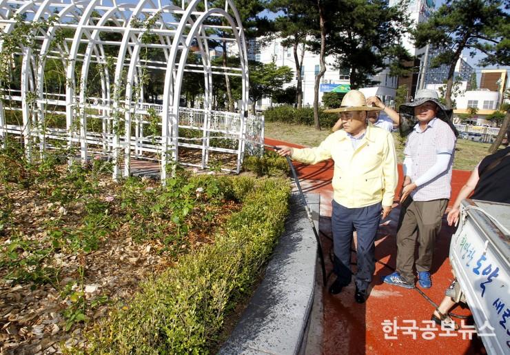 기사 사진