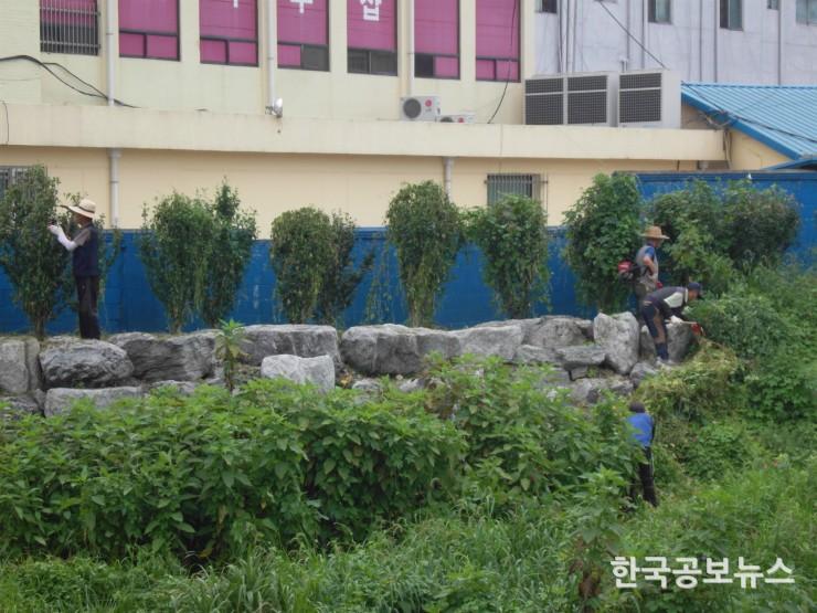 기사 사진