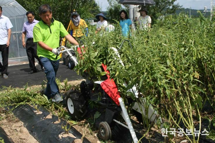 기사 사진