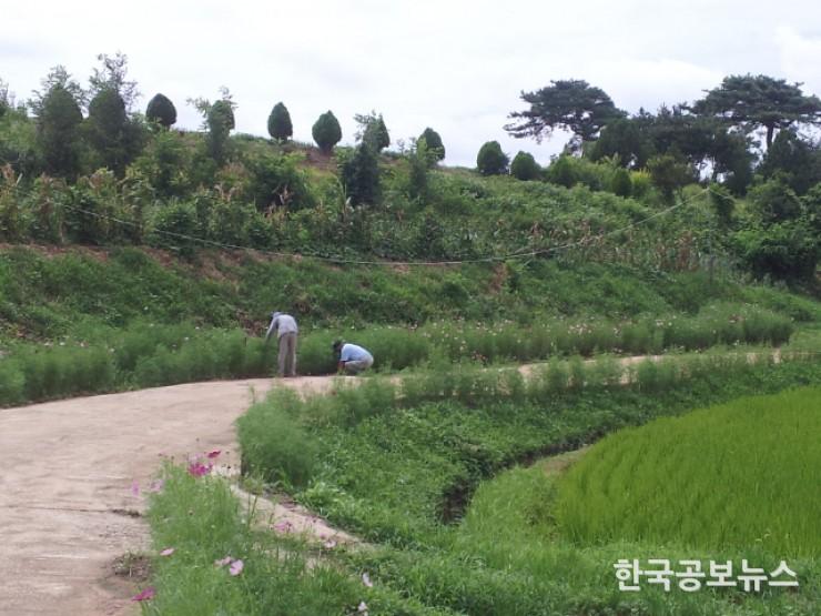 기사 사진