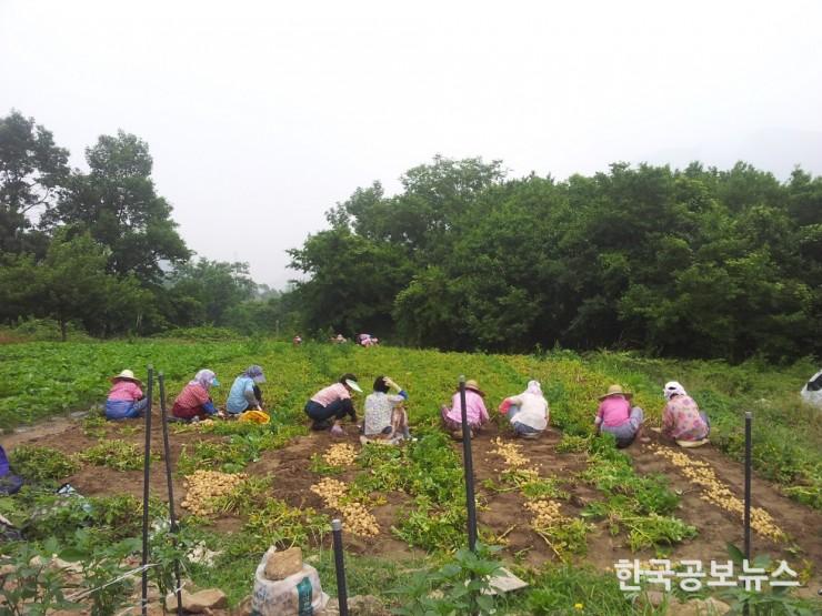 기사 사진