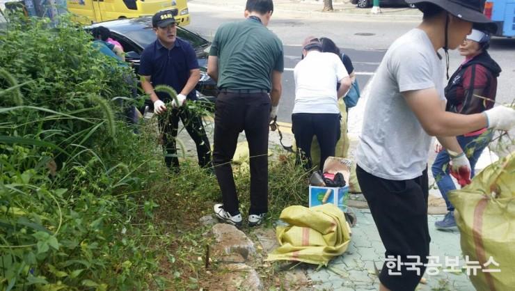 기사 사진