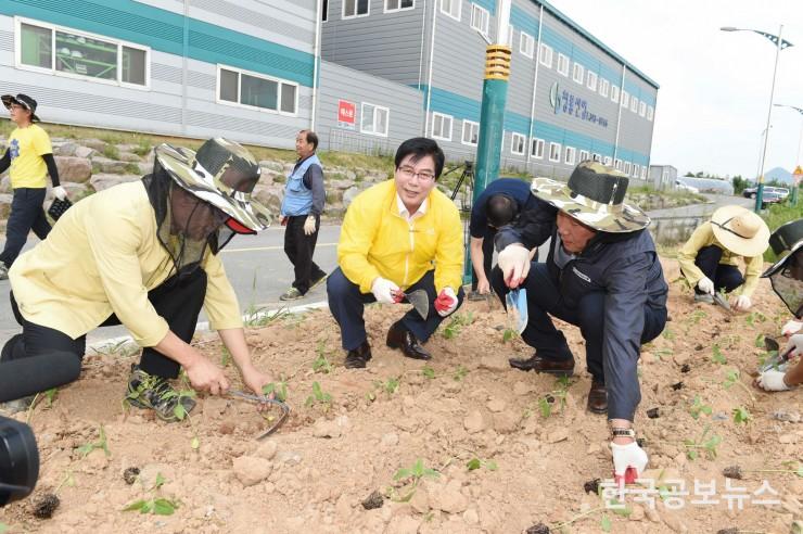 기사 사진