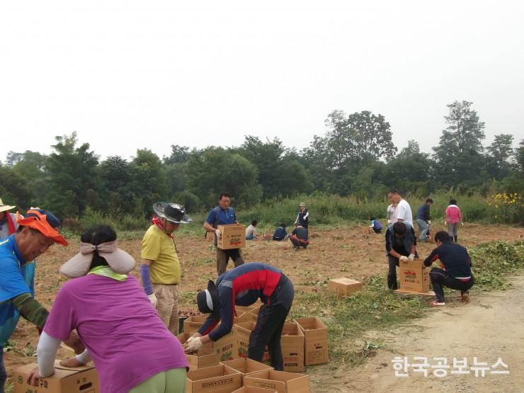 기사 사진