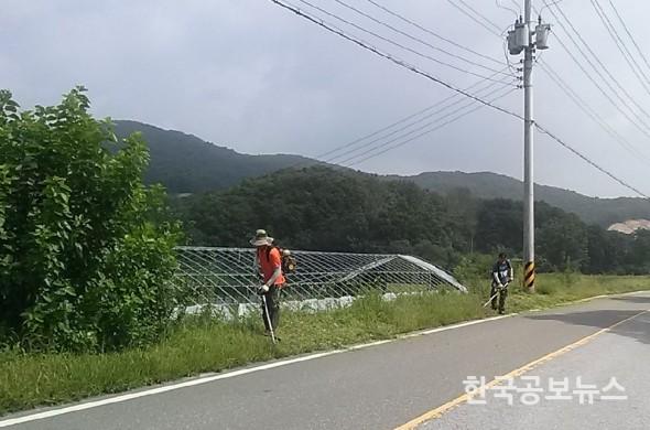 기사 사진