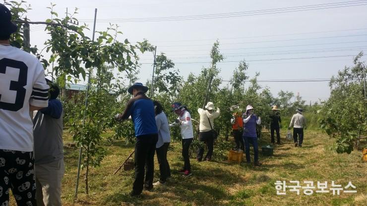 기사 사진