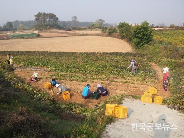 기사 사진