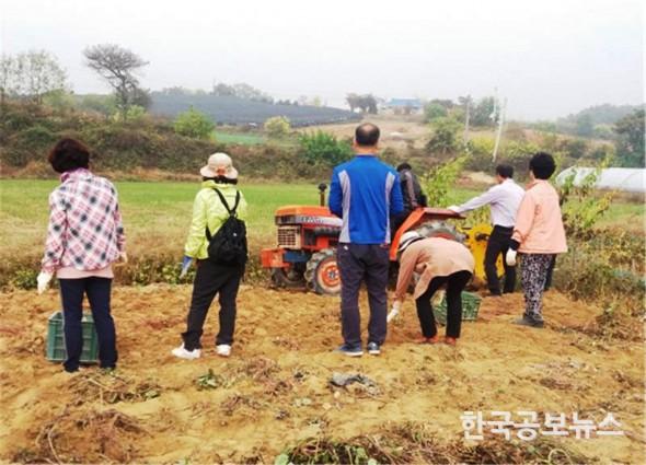 기사 사진