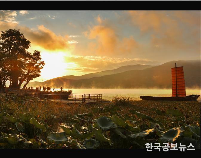 기사 사진