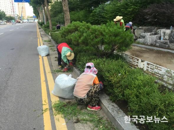 기사 사진