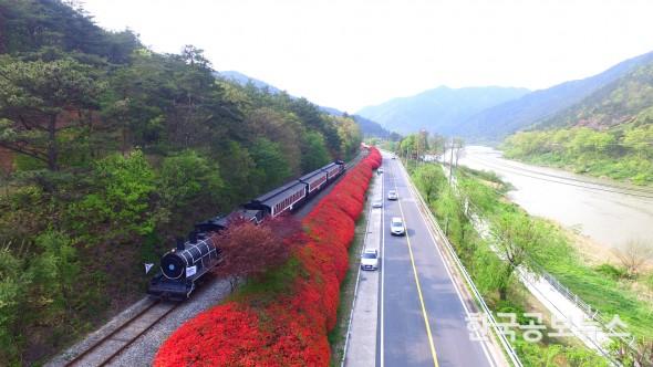 기사 사진