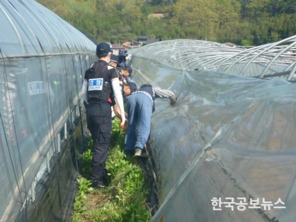 기사 사진