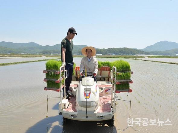 기사 사진