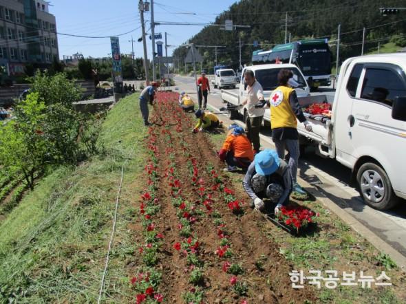 기사 사진