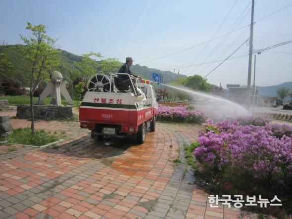기사 사진