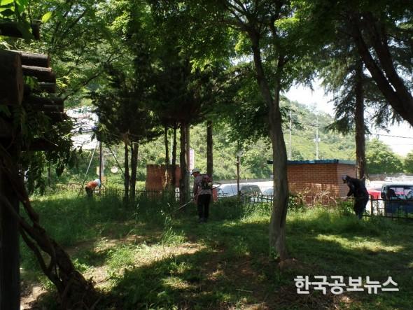 기사 사진