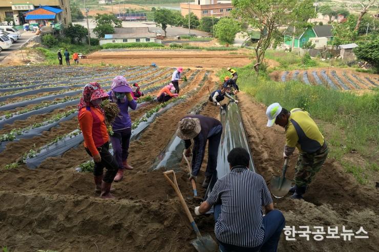 기사 사진