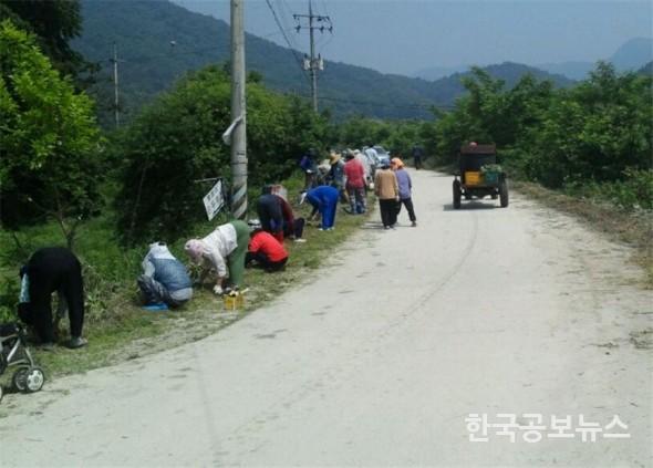 기사 사진