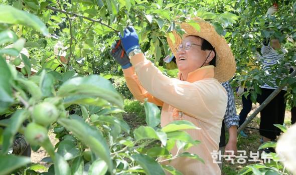 기사 사진