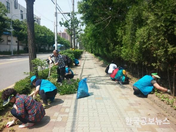 기사 사진