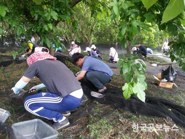 기사 사진