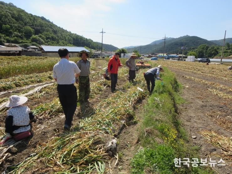 기사 사진