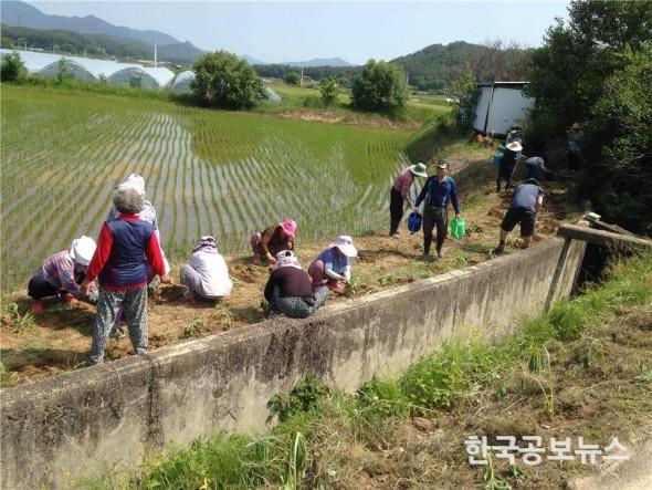 기사 사진