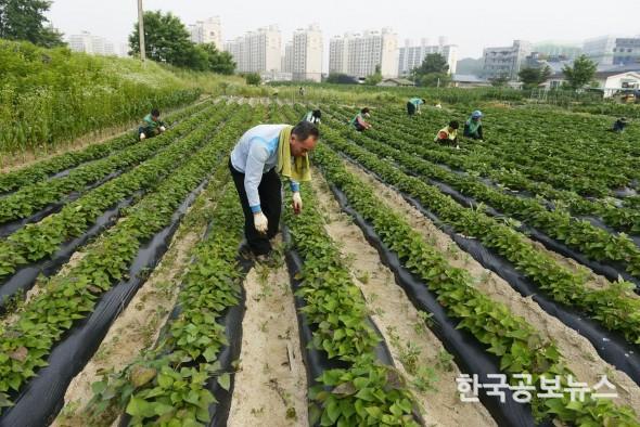 기사 사진