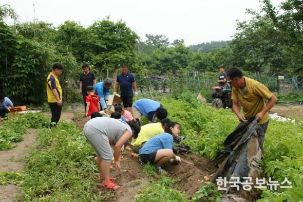 기사 사진