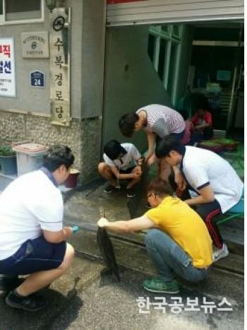 기사 사진