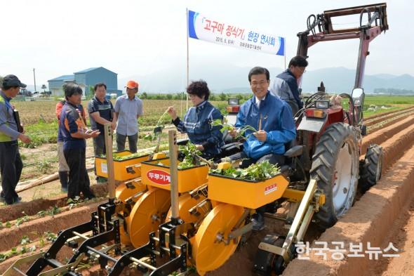 기사 사진